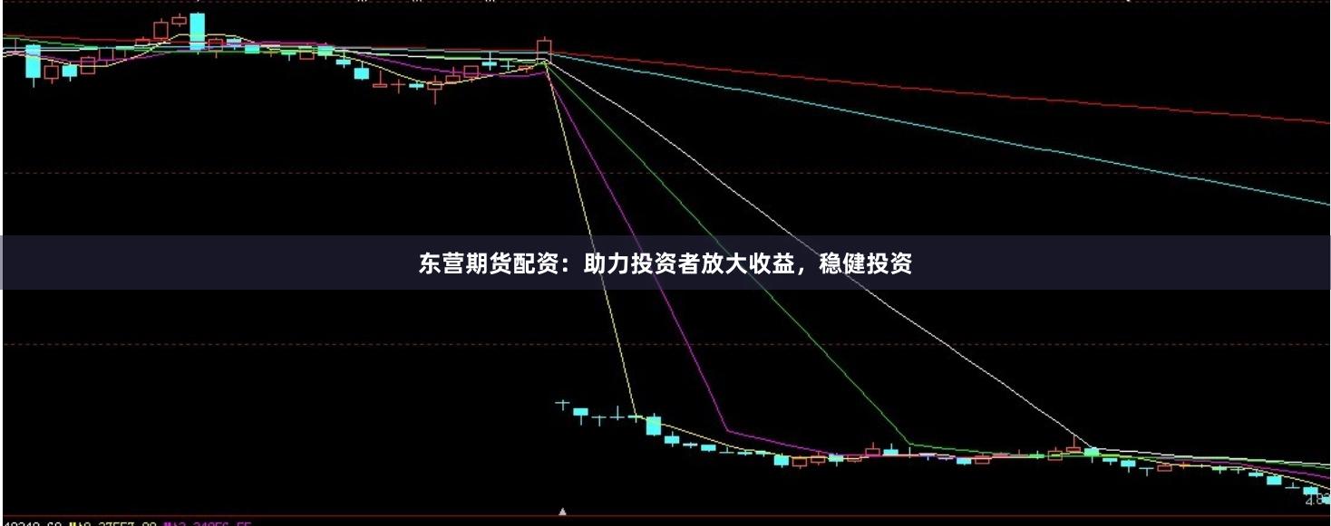 东营期货配资：助力投资者放大收益，稳健投资