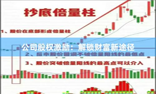 公司股权激励：解锁财富新途径